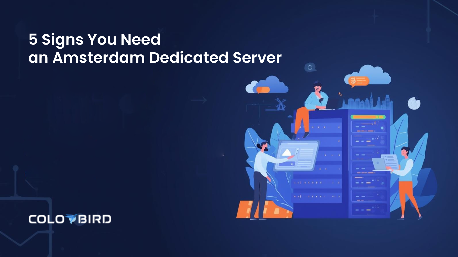 Amsterdam Dedicated Servers: 5 Signs You've Outgrown VPS | COLO BIRD