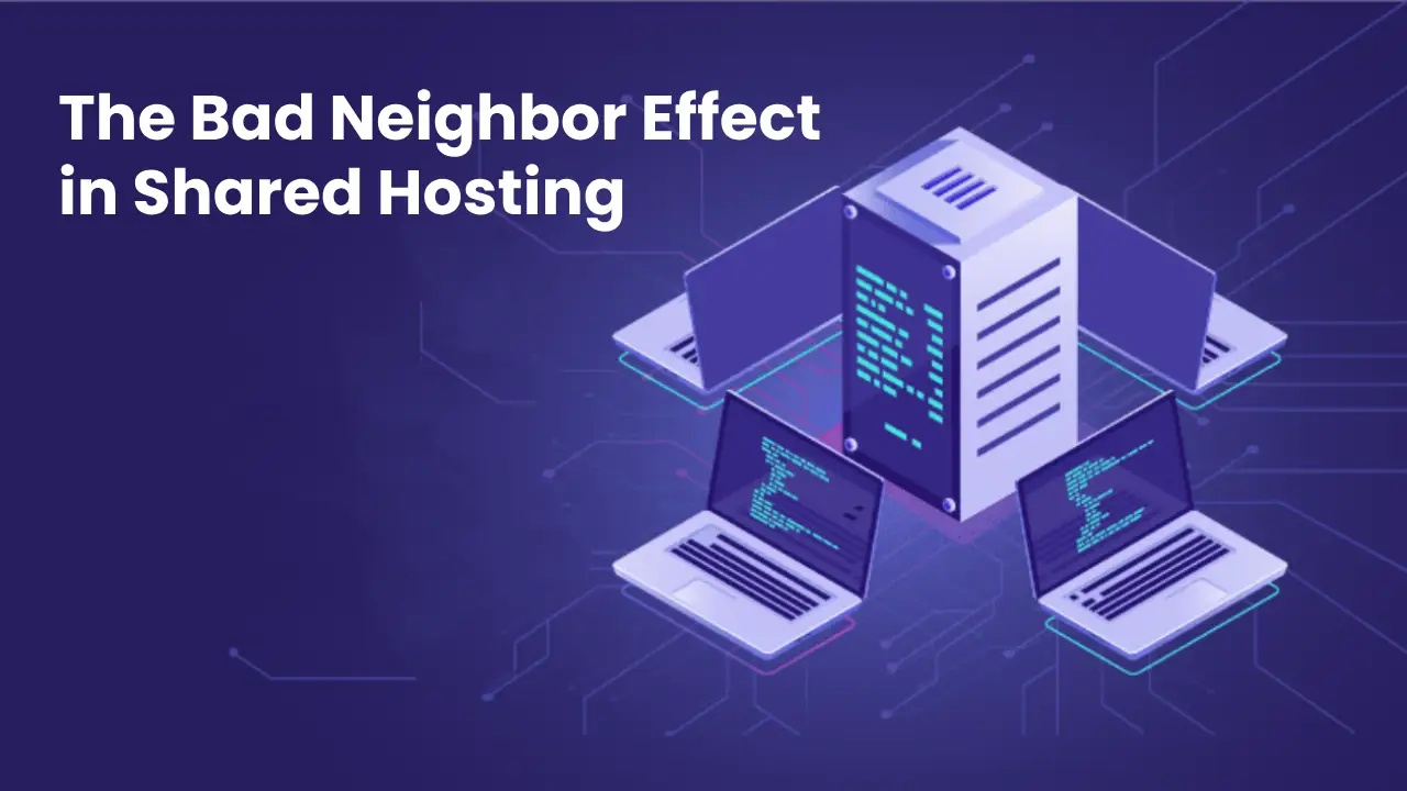 Understanding the Bad Neighbor Effect in Shared Hosting