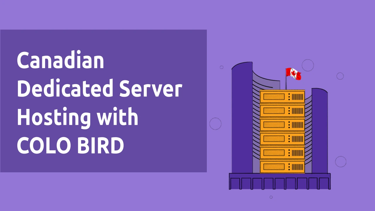 Canadian Dedicated Server Hosting with COLO BIRD