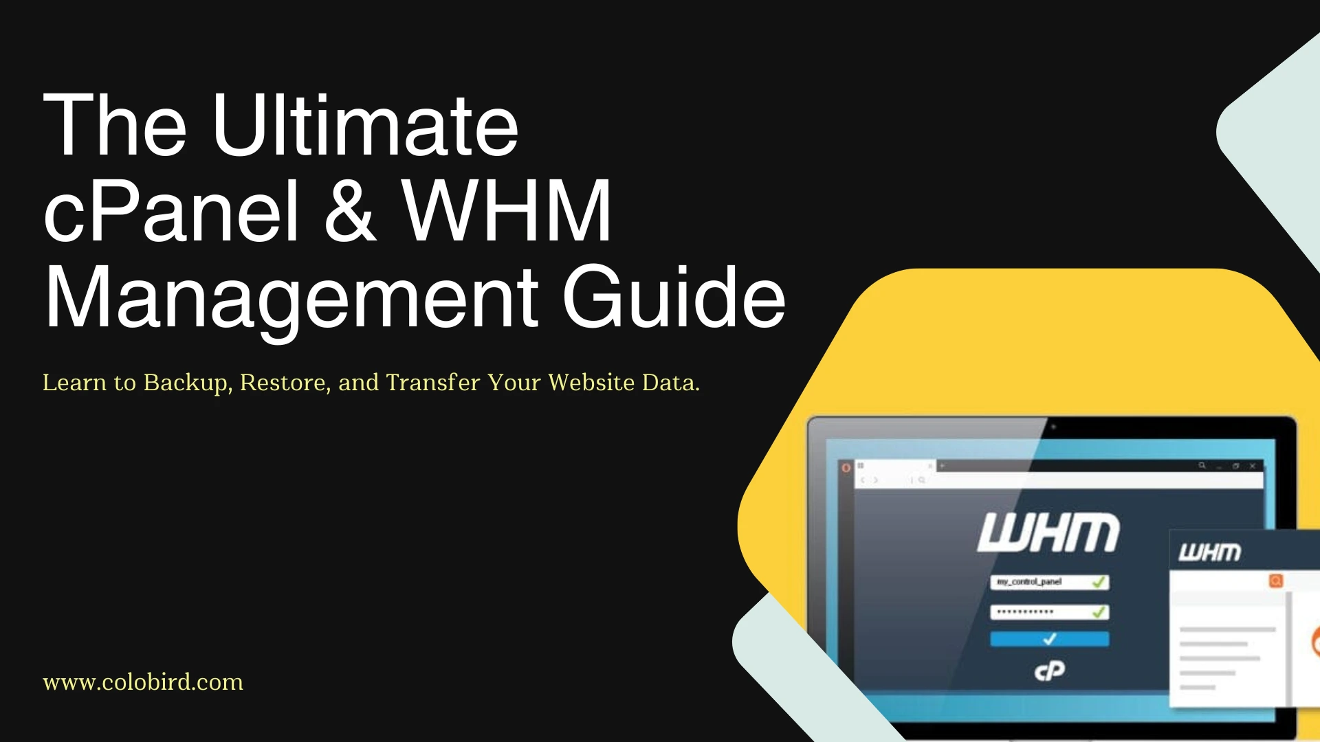 cPanel and WHM backup restore and transfer guide