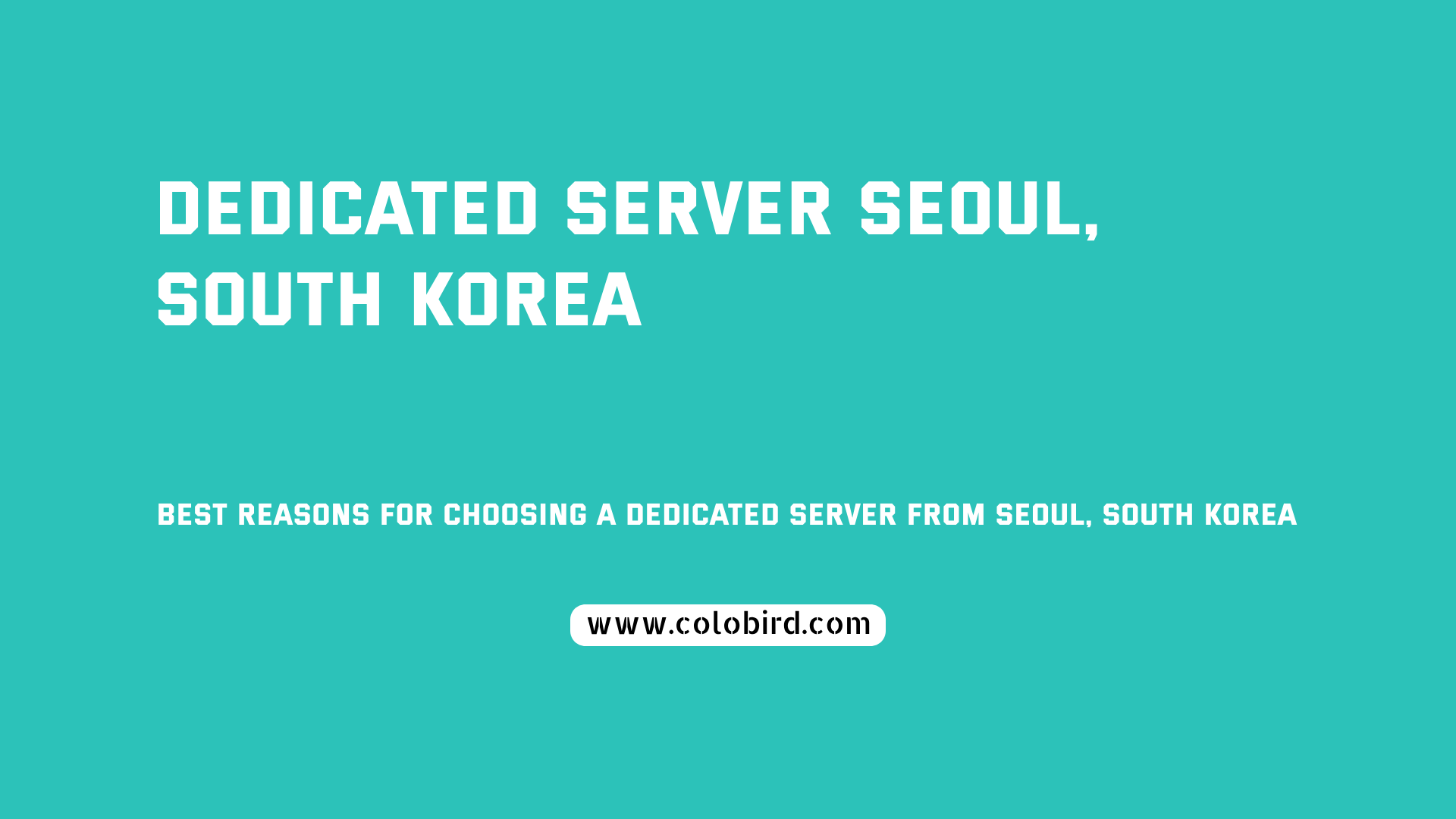 Reliable Dedicated Hosting in South Korea: COLO BIRD’s Seoul Servers