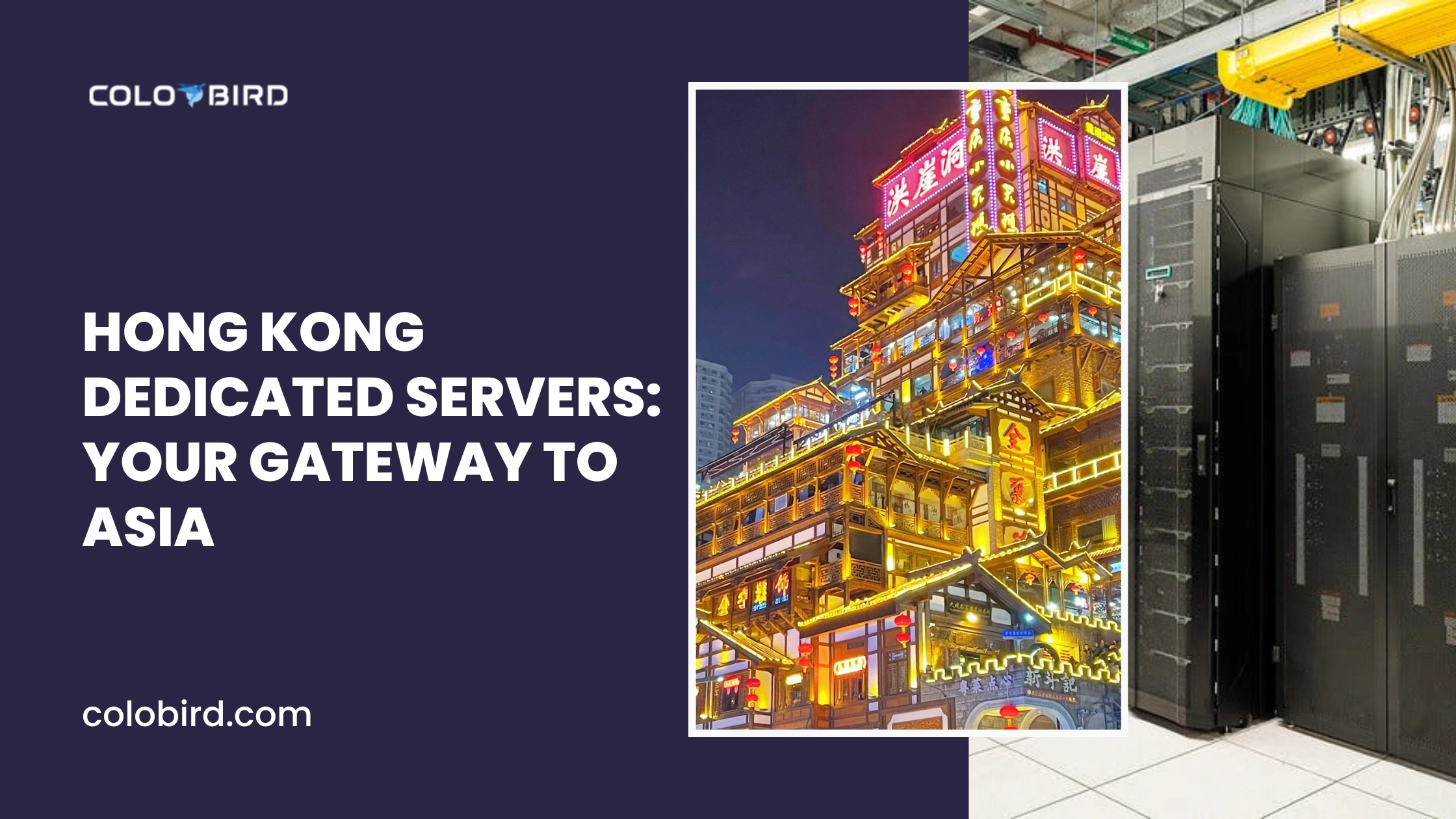 The Ultimate Guide to Hong Kong Dedicated Servers