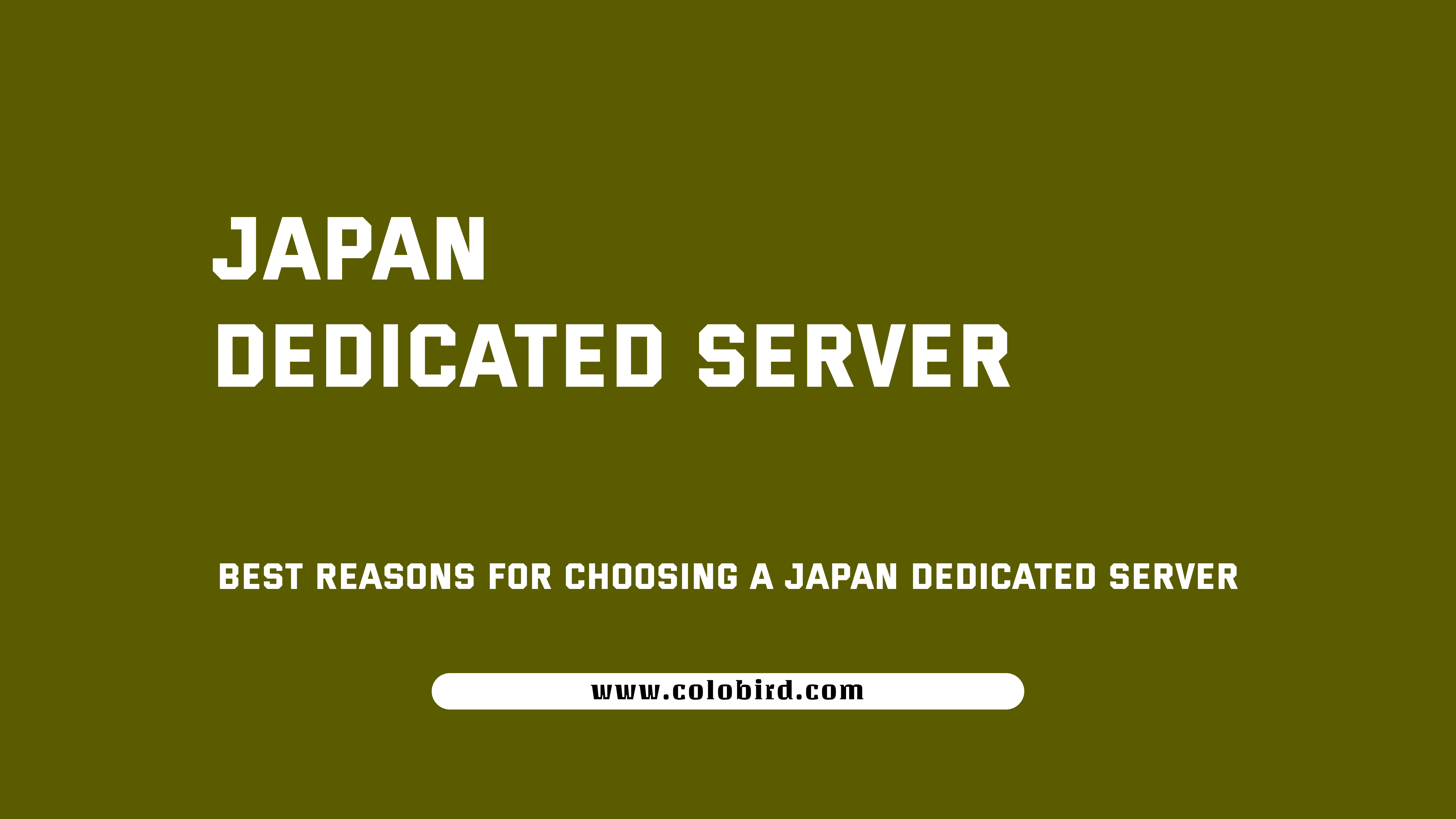 Best Reasons for Choosing a Japan Dedicated Server
