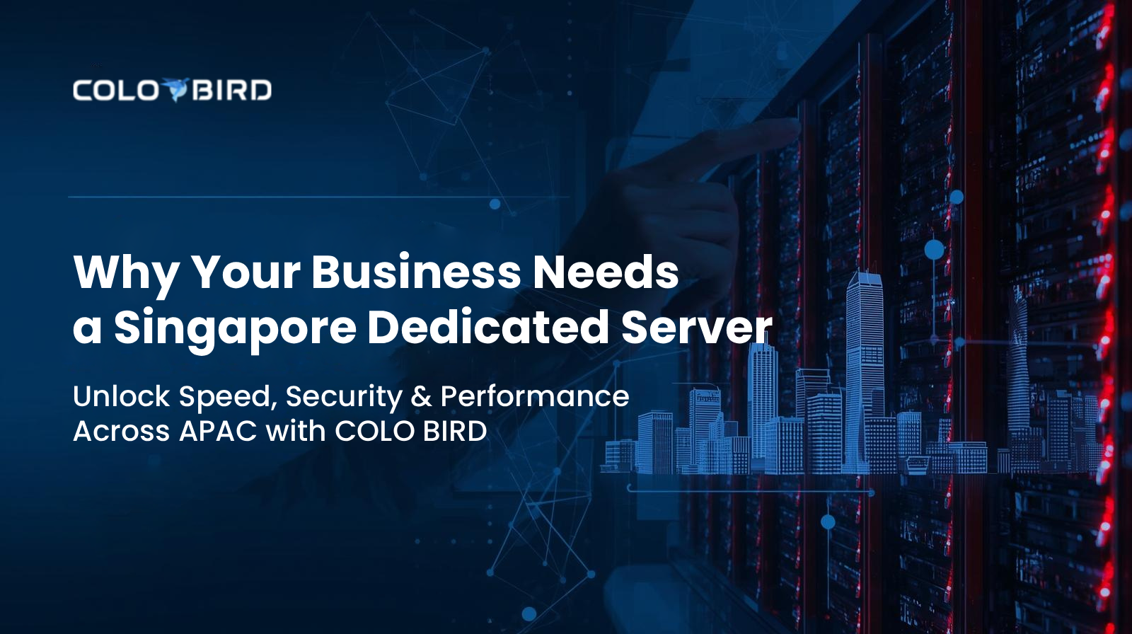Why You Need a Singapore Dedicated Server | Use Cases | COLO BIRD