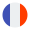 france flag icon