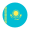 israel flag icon