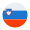slovenia flag icon